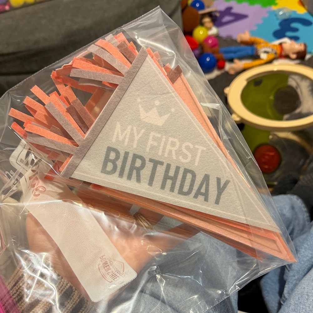Baby Milestone Pennant Signs Monthly Milestone